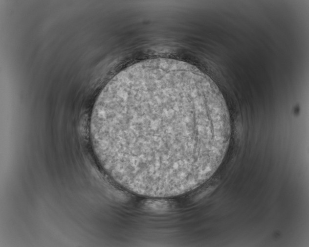 X0000115190181200912091119