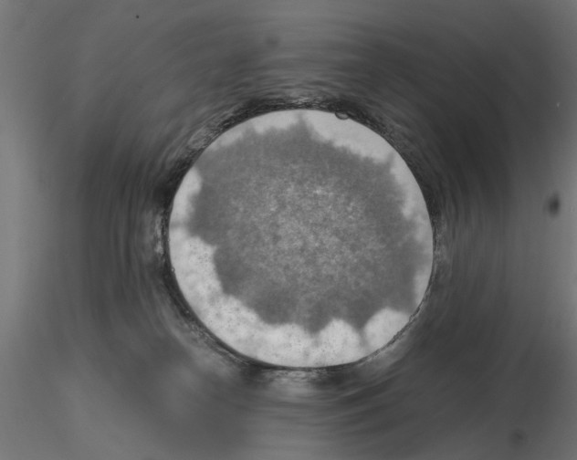 X0000115190182200912091119