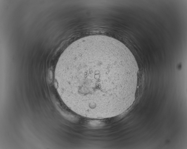 X0000115190183200912091119