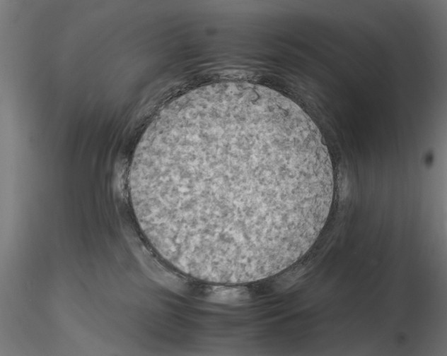 X0000115190185200912091119