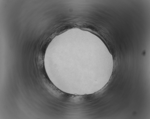 X0000115190186200912091119