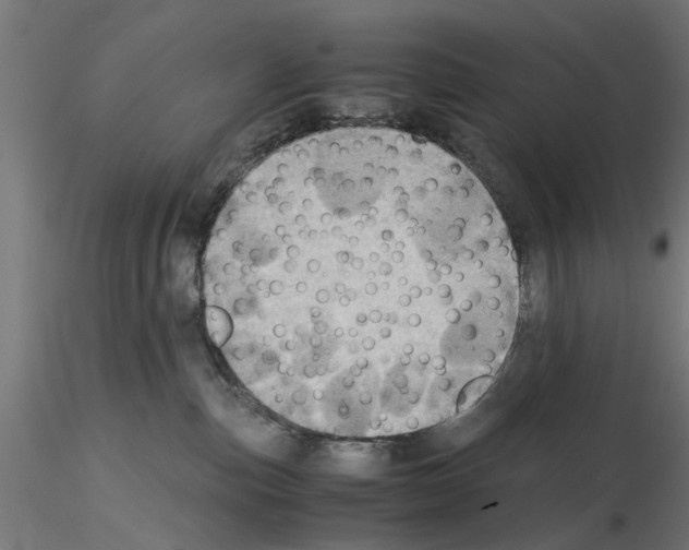 X0000115190187200912091119