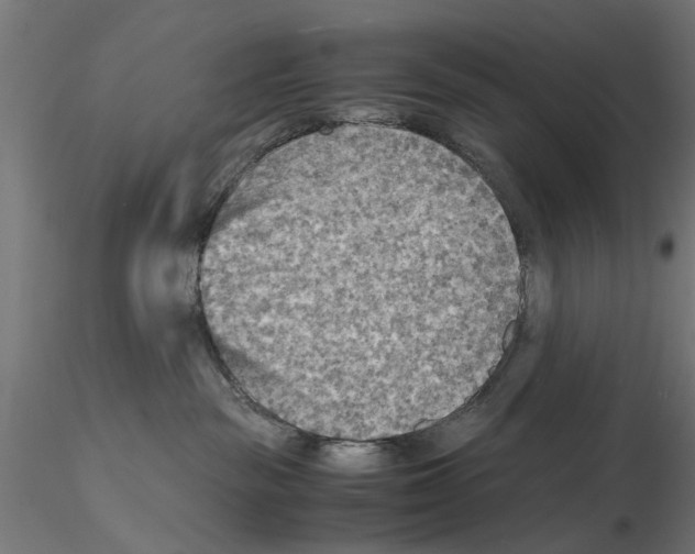 X0000115190189200912091119