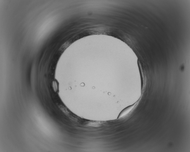 X0000115190190200912091119