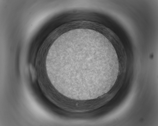 X0000115190191200912091119