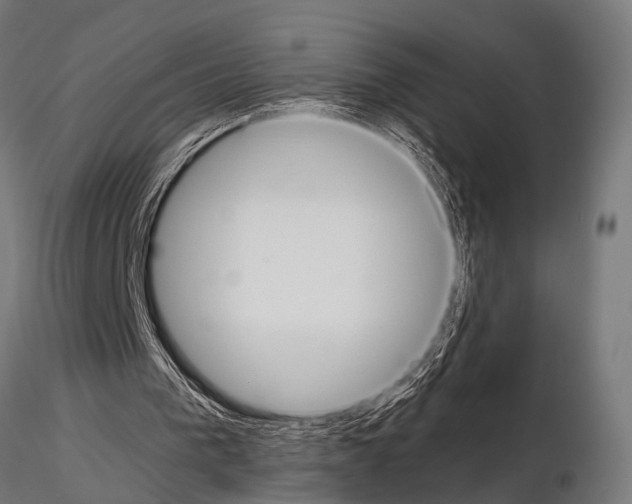 X0000115190193200912091118