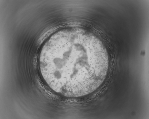 X0000115190194200912091118