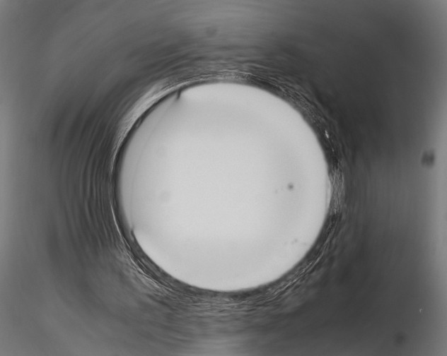 X0000115190195200912091118