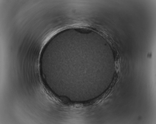 X0000115190196200912091118