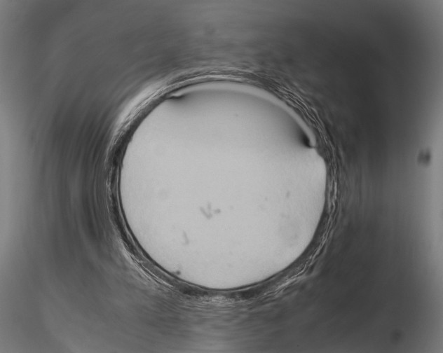 X0000115190197200912091118