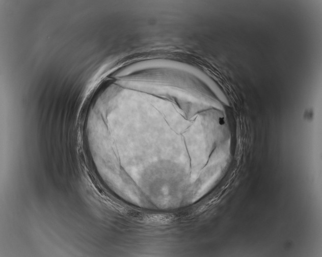 X0000115190198200912091118