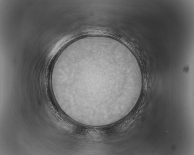 X0000115190199200912091118