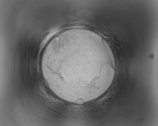 X0000115190200200912091118