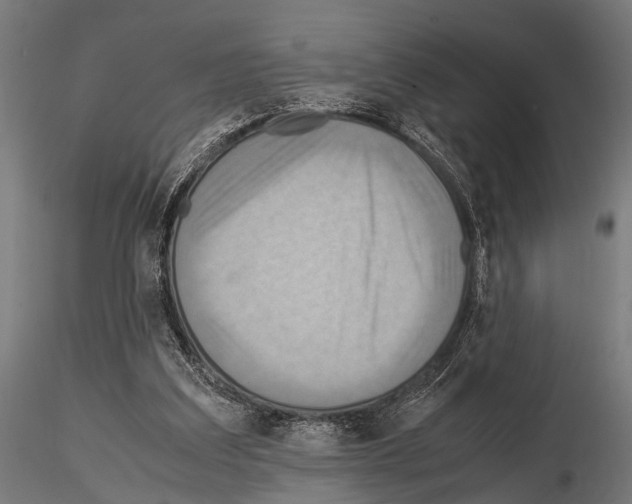 X0000115190203200912091118