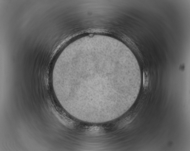 X0000115190204200912091118