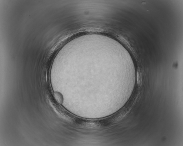 X0000115190205200912091118