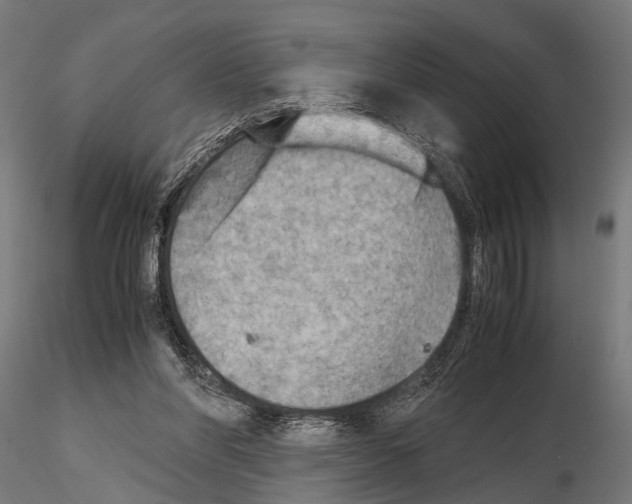 X0000115190206200912091118