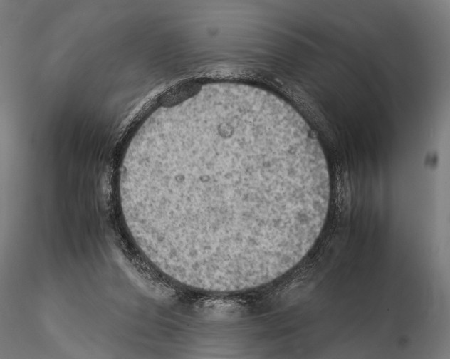 X0000115190208200912091118