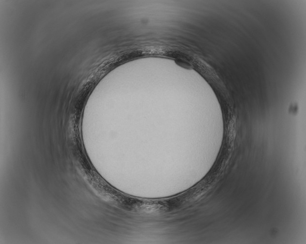 X0000115190209200912091118