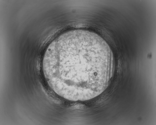 X0000115190210200912091118