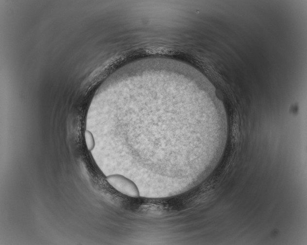 X0000115190211200912091118