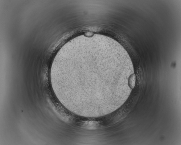 X0000115190212200912091118