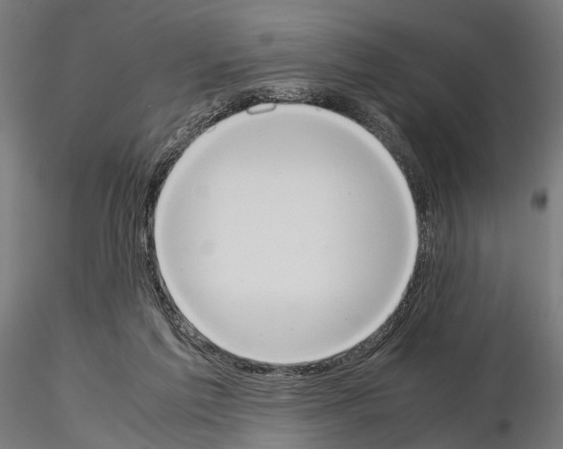 X0000115190213200912091118