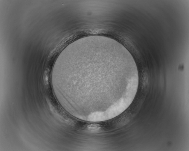 X0000115190214200912091118