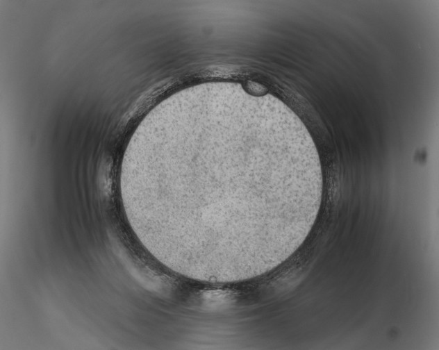 X0000115190216200912091118