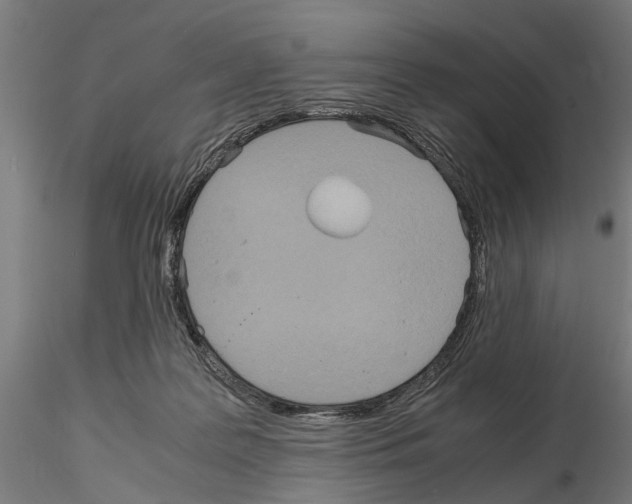 X0000115190219200912091118