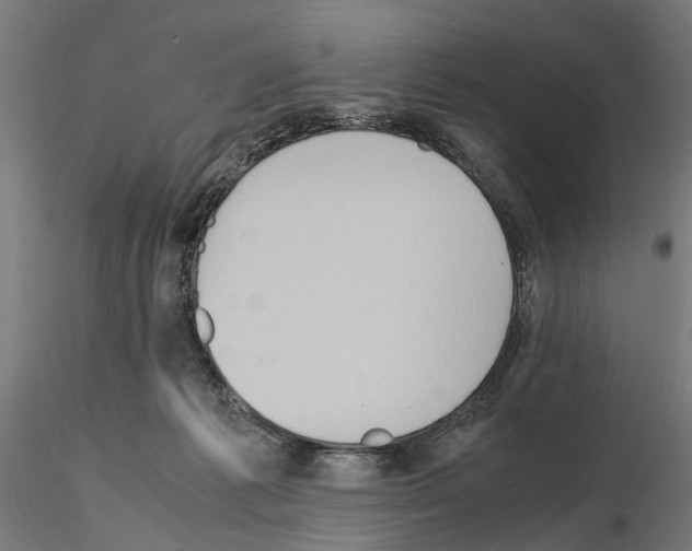 X0000115190221200912091118