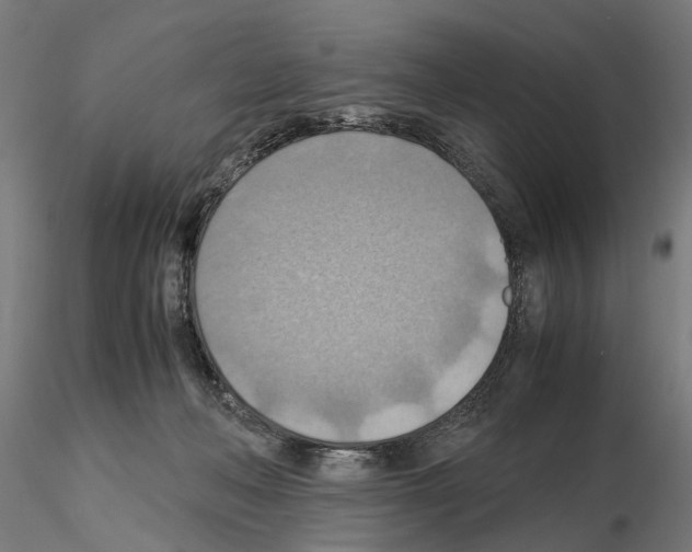 X0000115190222200912091118