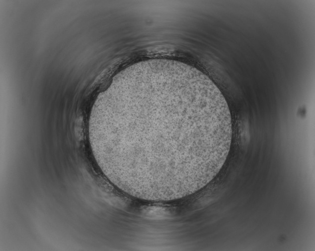 X0000115190224200912091118