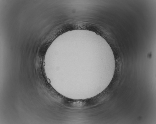 X0000115190225200912091118