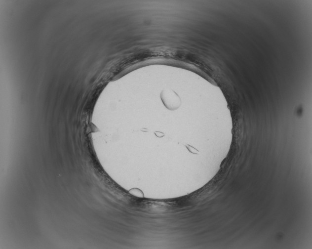 X0000115190229200912091118