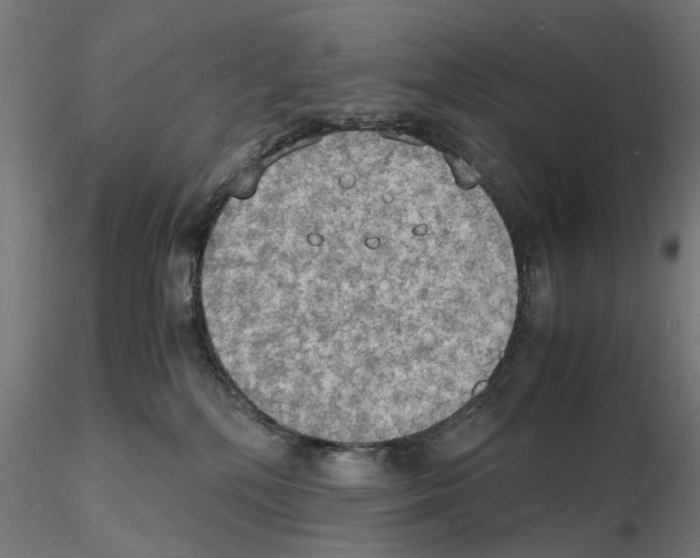 X0000115190232200912091118