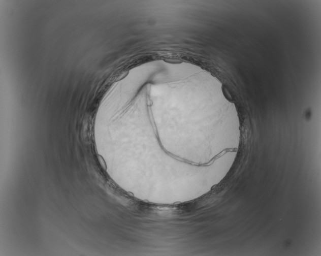 X0000115190233200912091118