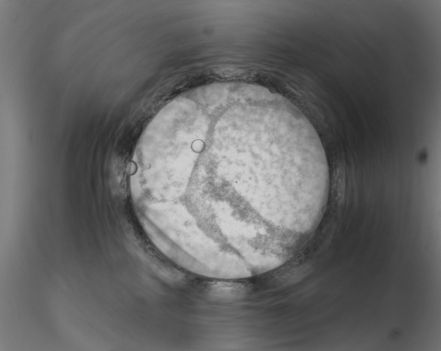 X0000115190234200912091118