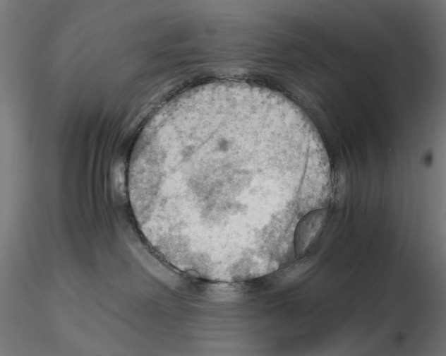 X0000115190238200912091118