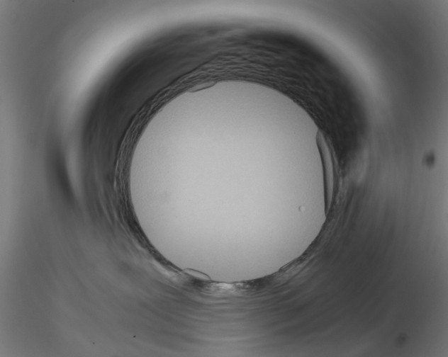 X0000115190239200912091118