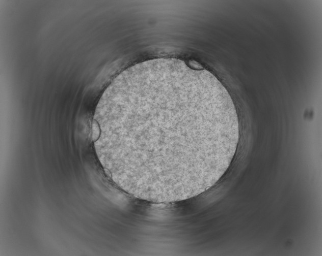 X0000115190240200912091118