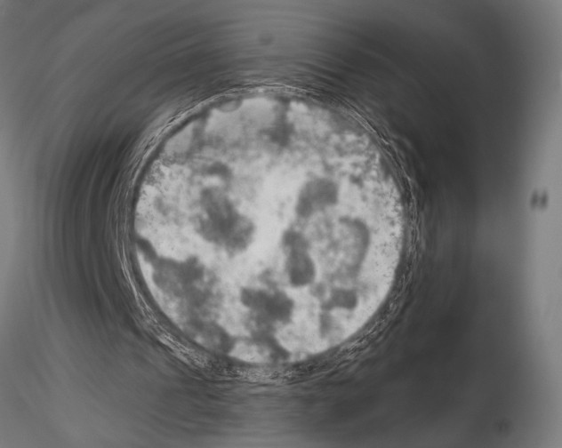 X0000115190241200912091117