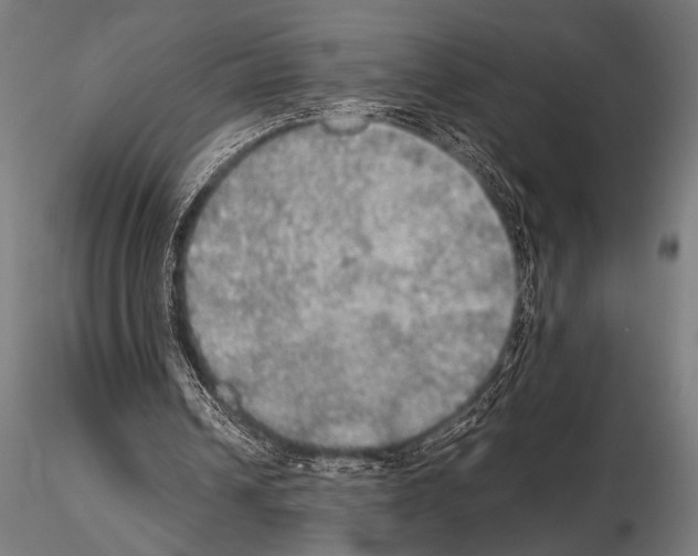 X0000115190242200912091117