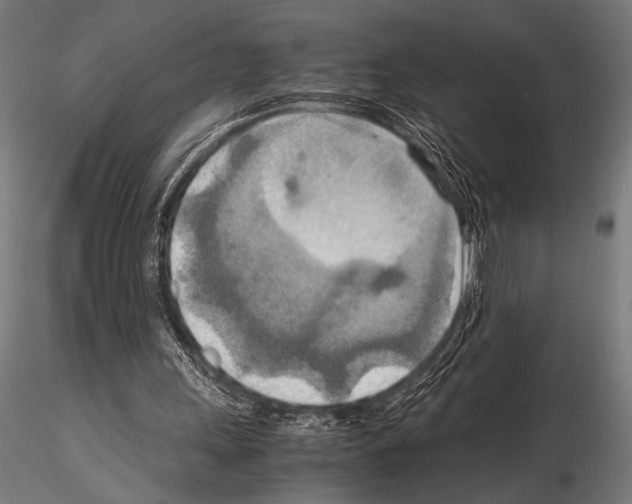 X0000115190243200912091117