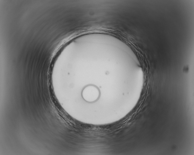 X0000115190244200912091117