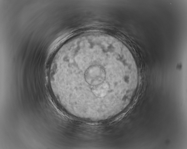 X0000115190245200912091117