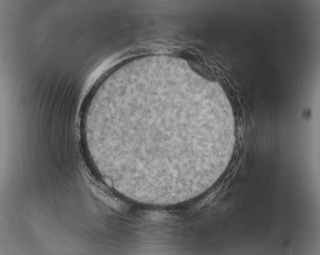 X0000115190246200912091117