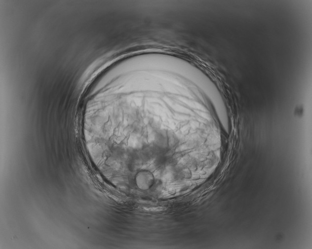 X0000115190247200912091117