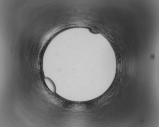 X0000115190248200912091117