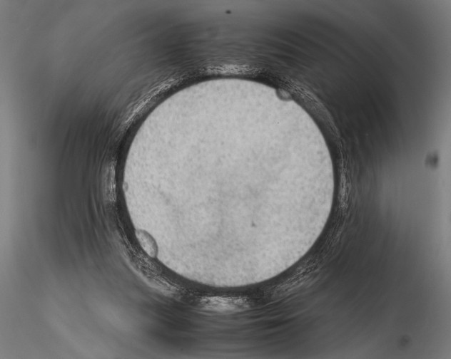 X0000115190251200912091117